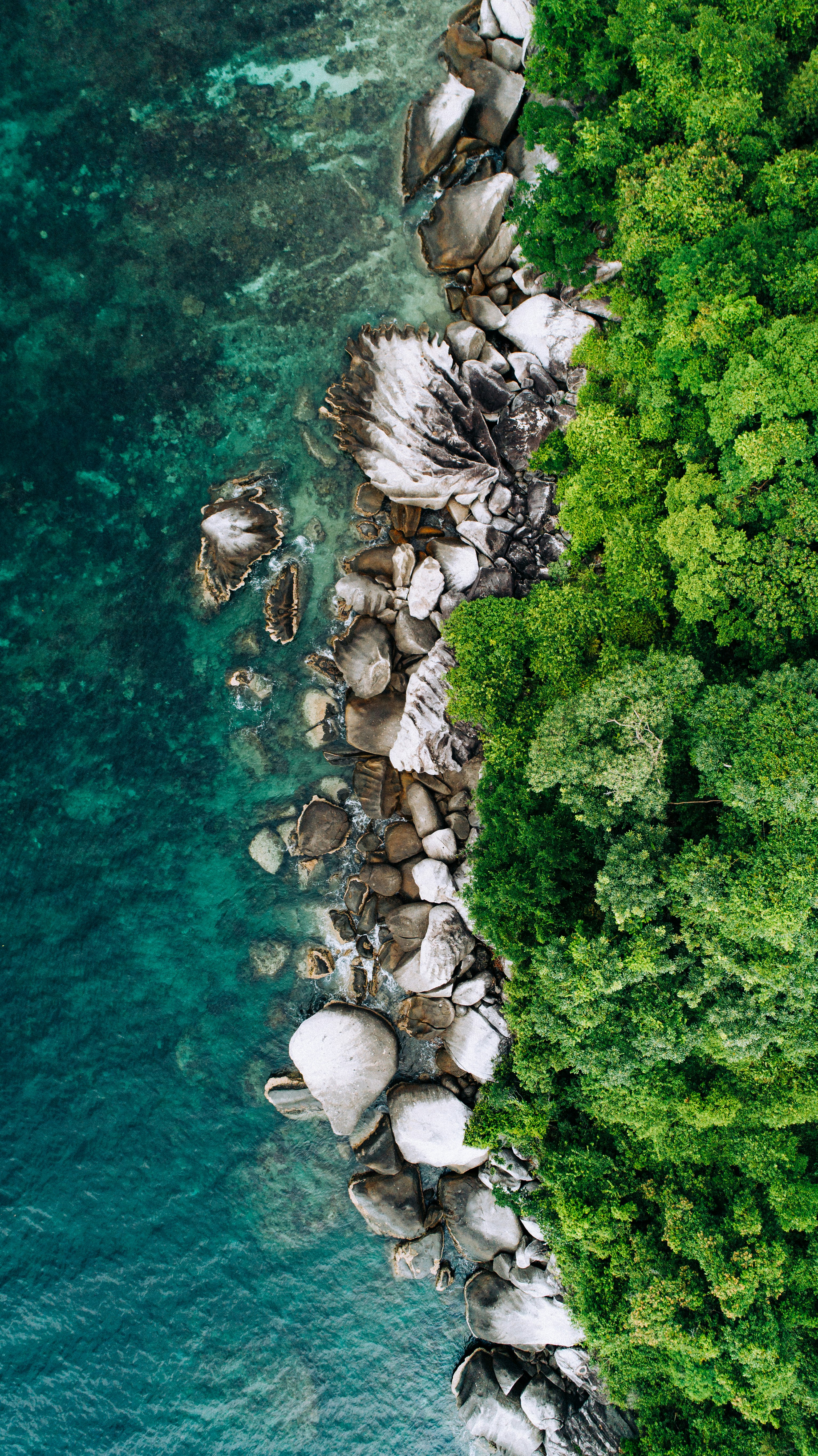 aerial photography of beach shore